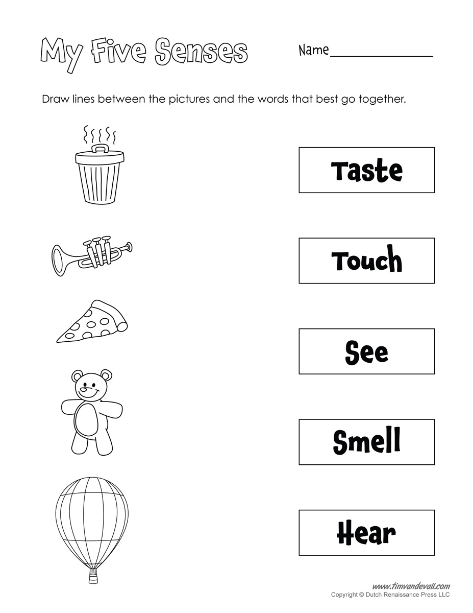 Free Printable Five Senses Worksheets