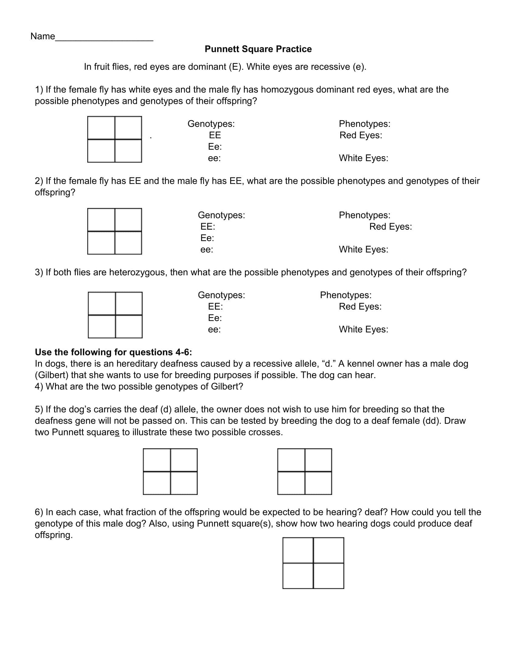 Free Printable Punnett Square Practice Worksheets Your Guide To 