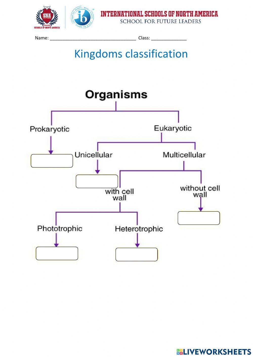 Kingdom Classification Interactive Worksheet Live Worksheets 