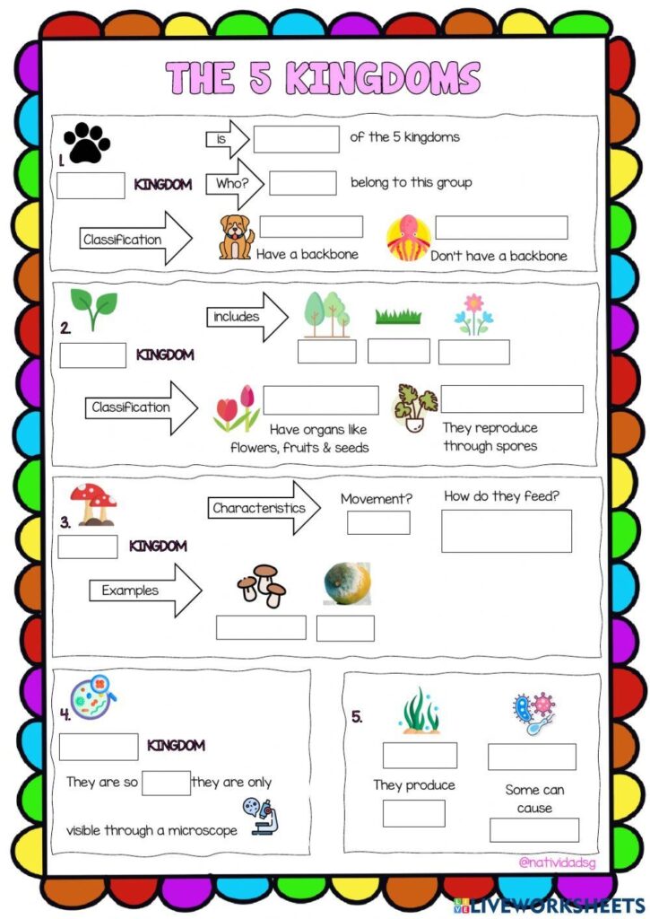 Classification And Kingdoms Worksheet - Download Free Printable Templates