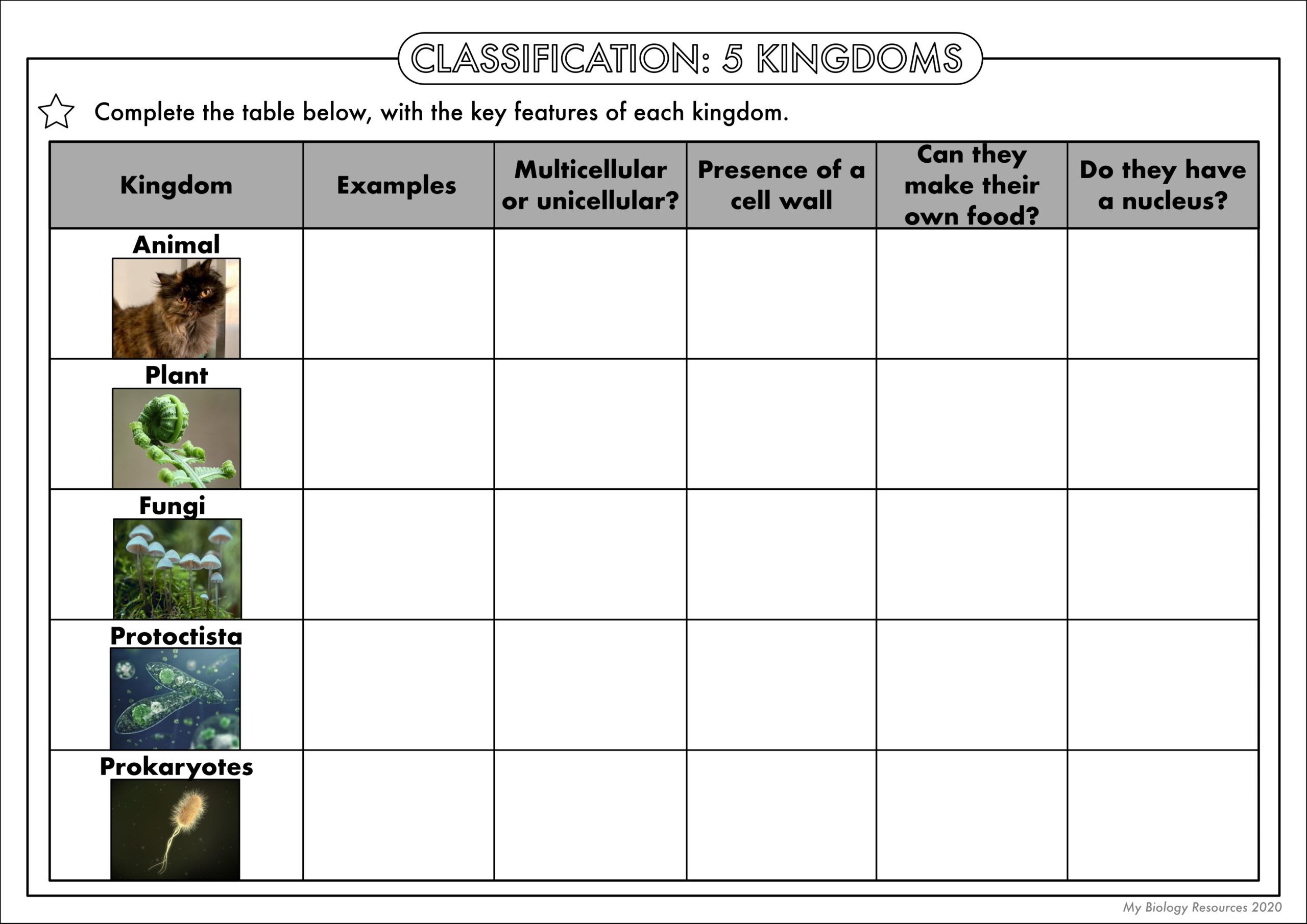 Kingdom Classification Worksheet