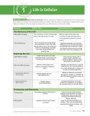 Life Is Cellular 1 pdf CHAPTER 8 LESSON 1 Life Is Cellular READING 