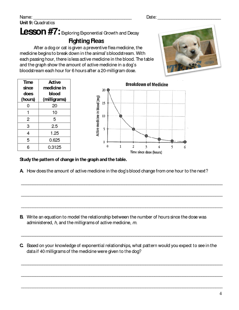 Mastering Exponential Concepts The Indispensable Role Of Exponential 
