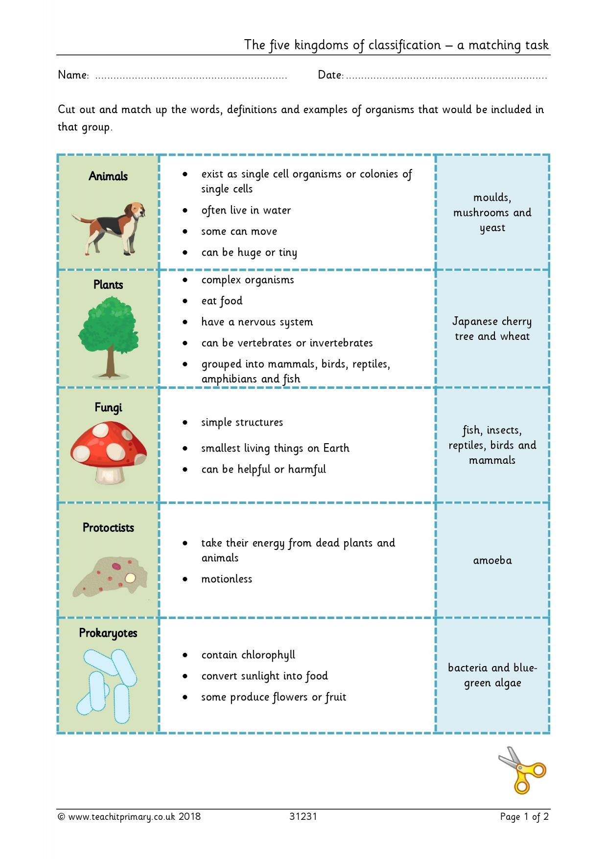 Matching Kingdoms Of Classification KS2 Science Teachit 