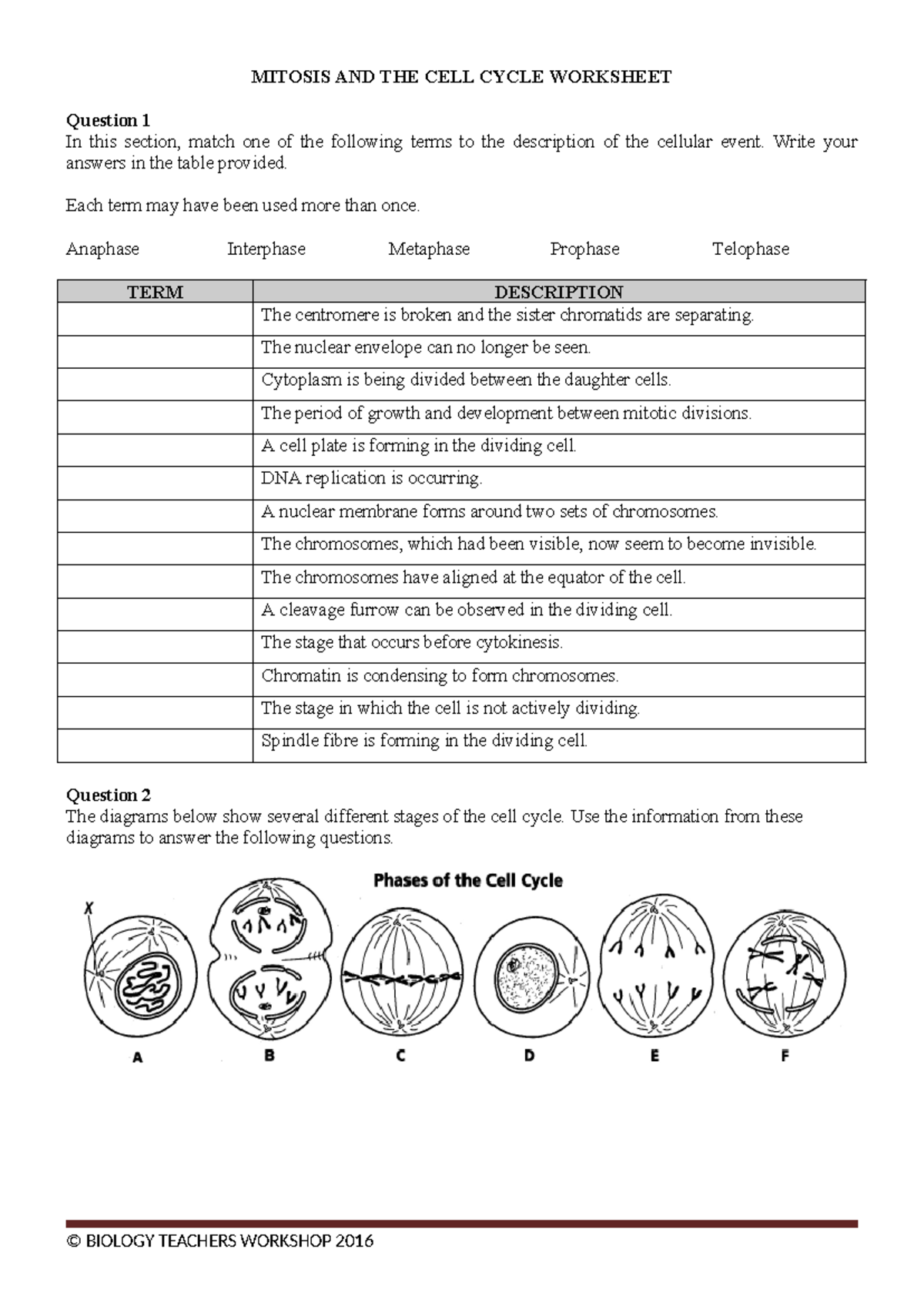Mitosis Worksheet PDF Meiosis Mitosis Worksheets Library Mitosis Worksheet PDF Meiosis Mitosis Worksheets Library