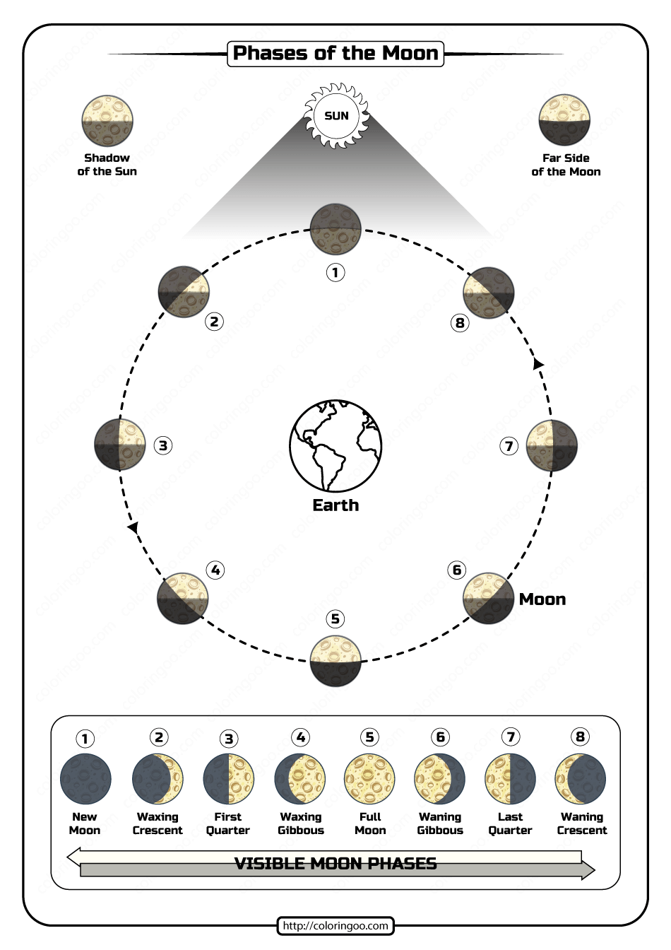 Moon Phases Worksheet Pdf Proworksheet