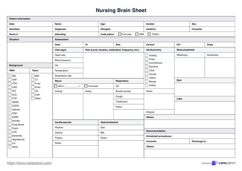 Nurse Brain Sheet Template Example Free PDF Download