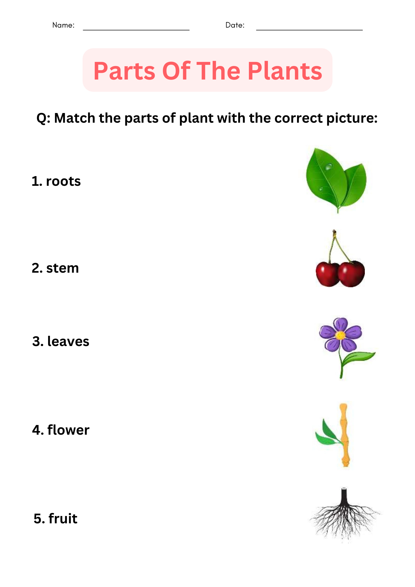 Parts Of A Plant Worksheet Free Worksheets Printable