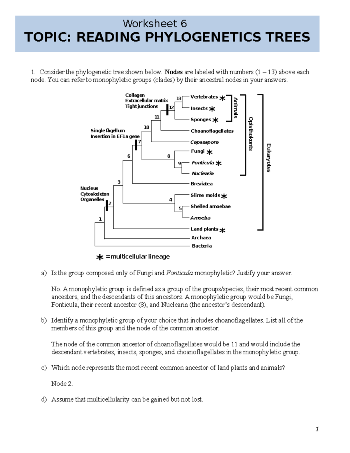 Phylogenetic Tree Worksheet