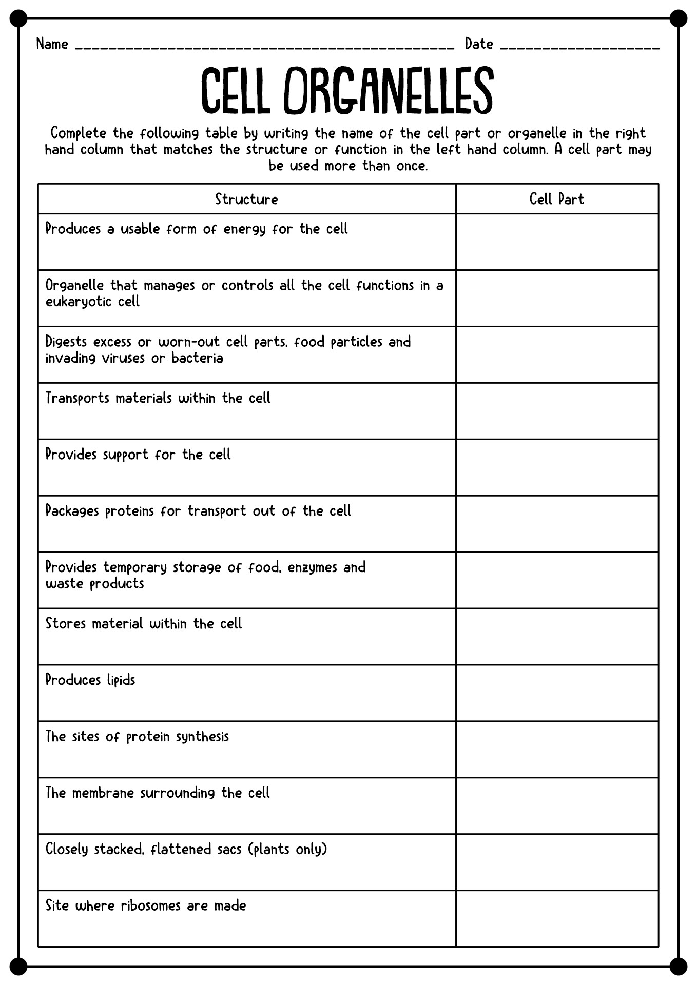 Plant And Animal Cell Organelles
