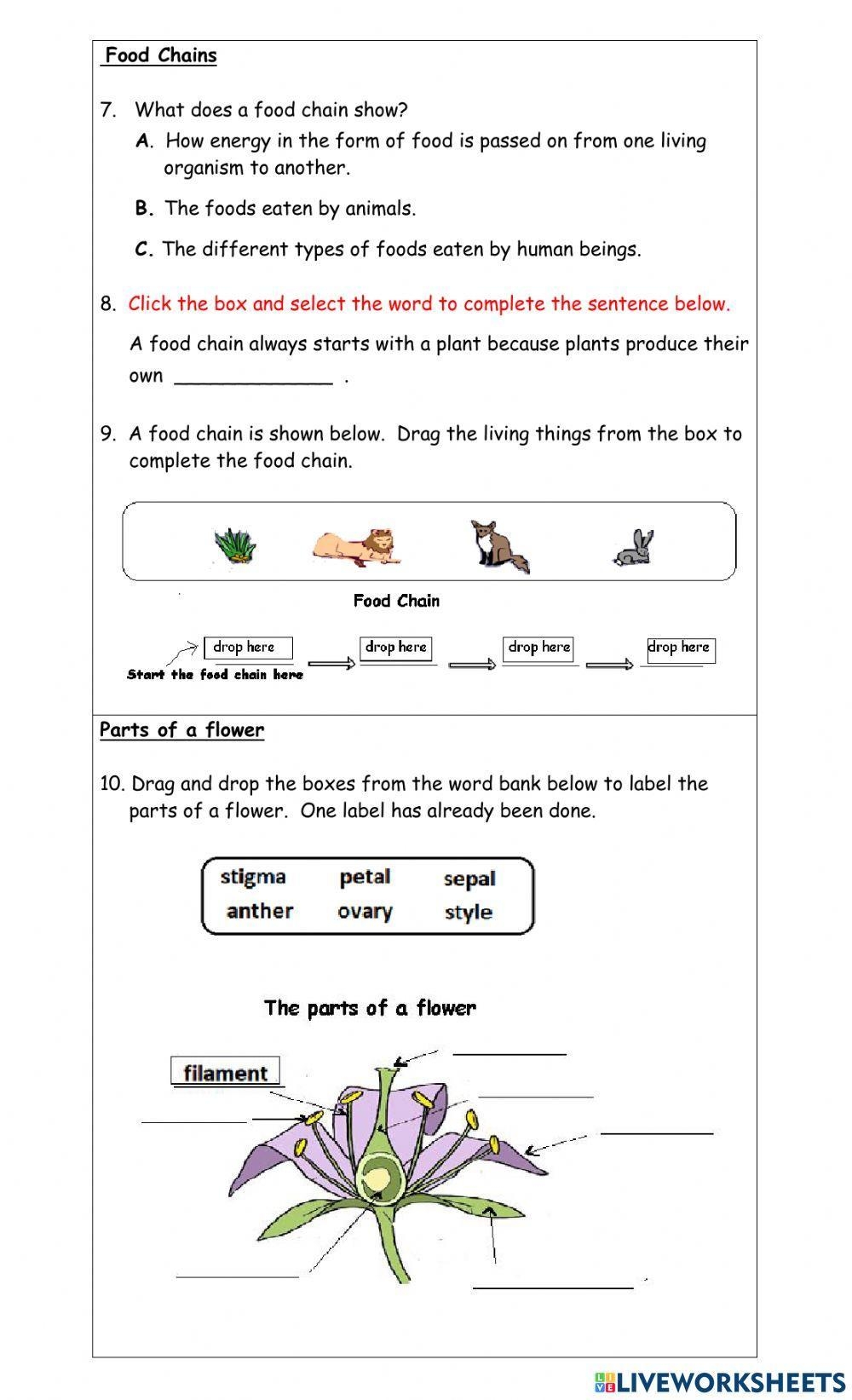 Science Grade 3 Worksheets