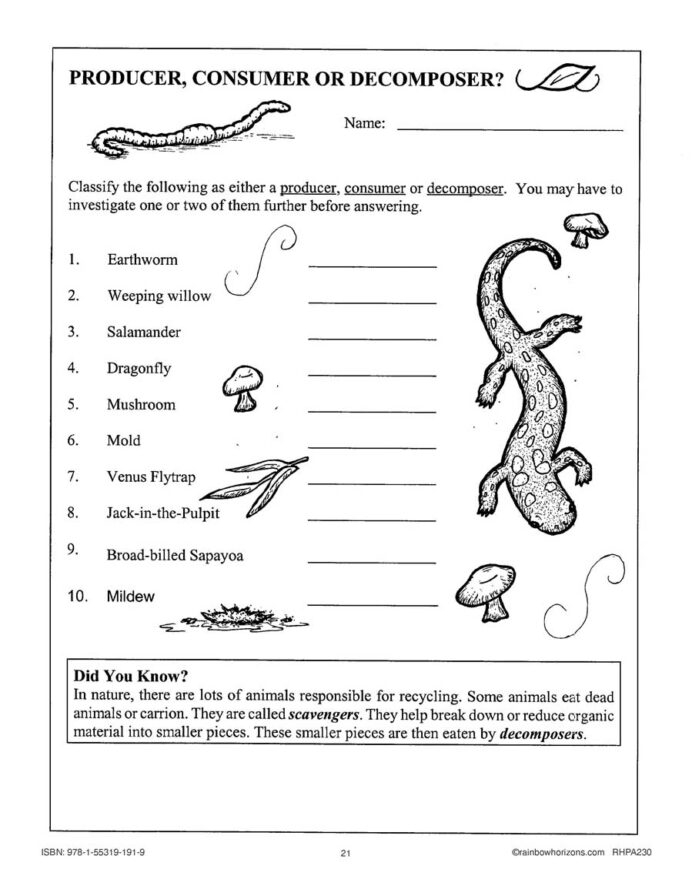 Science Grade 4 QED Worksheets Library Science Grade 4 QED Worksheets Library