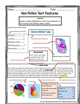 Text Features Worksheet By Kirsten Cavanaugh TPT