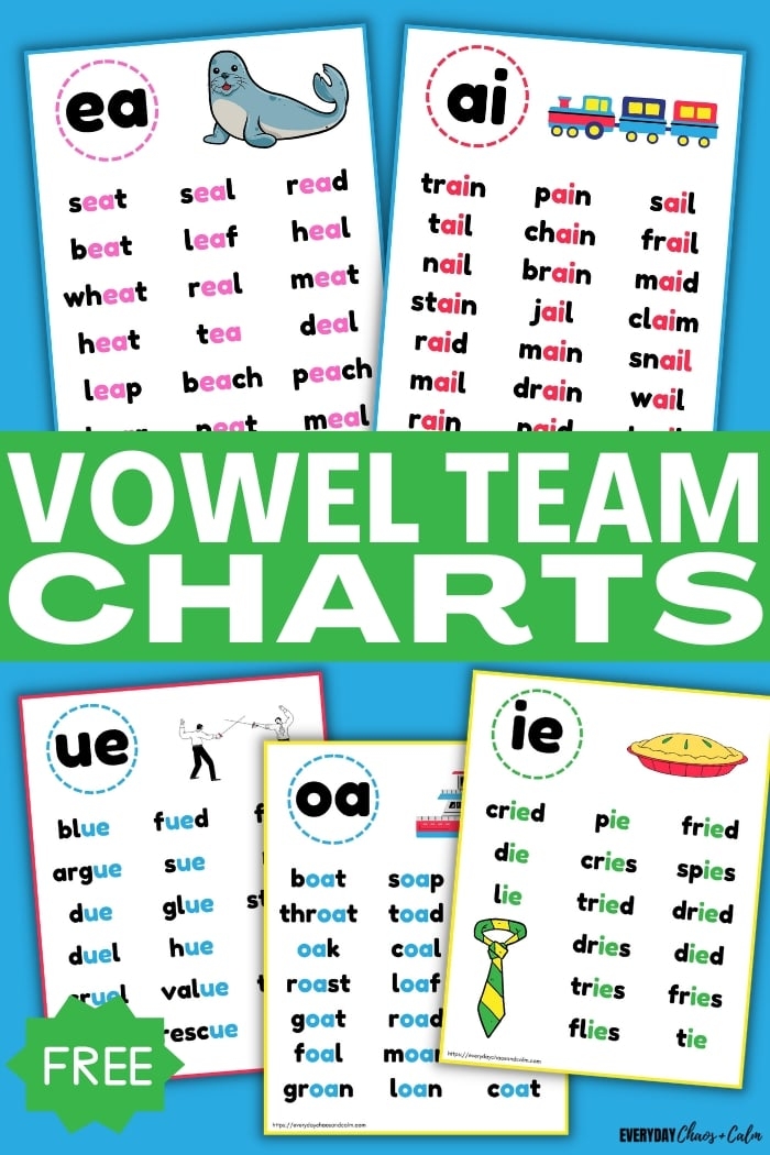 Vowel Teams Packet Letters Pictures Words Worksheets Vowel Team