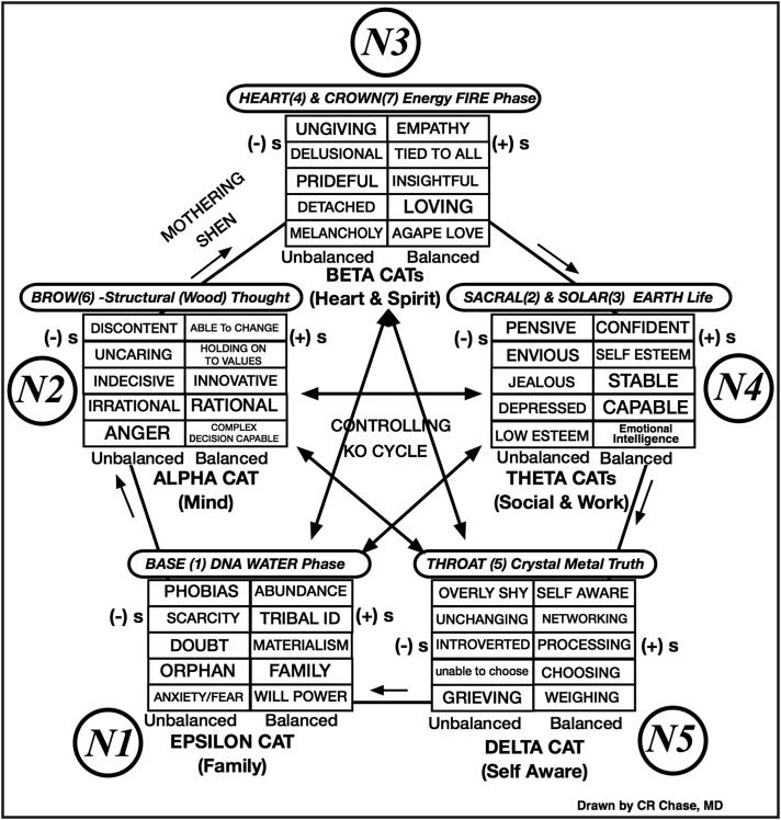 What Is Acupuncture Geometry Worksheet Answers Printable Word Searches