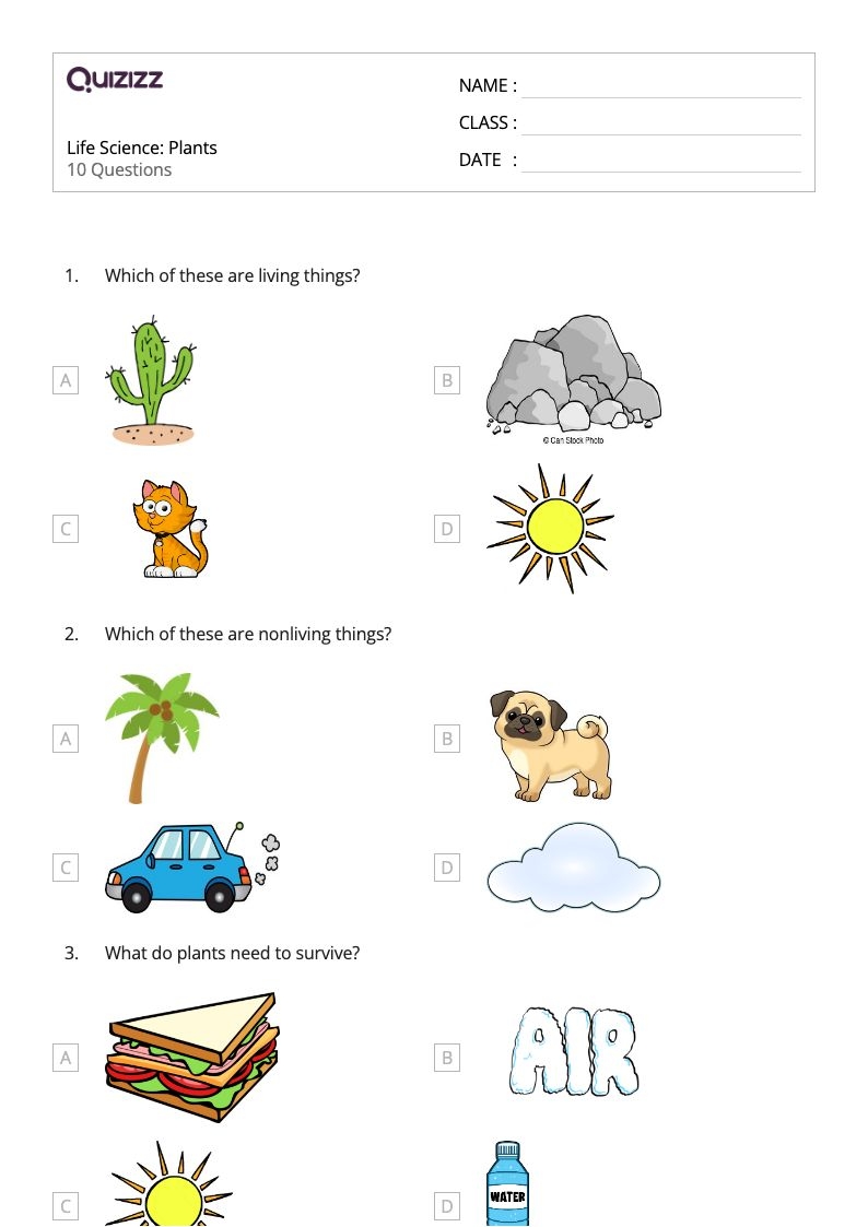 Worksheets For 1st Grade Science