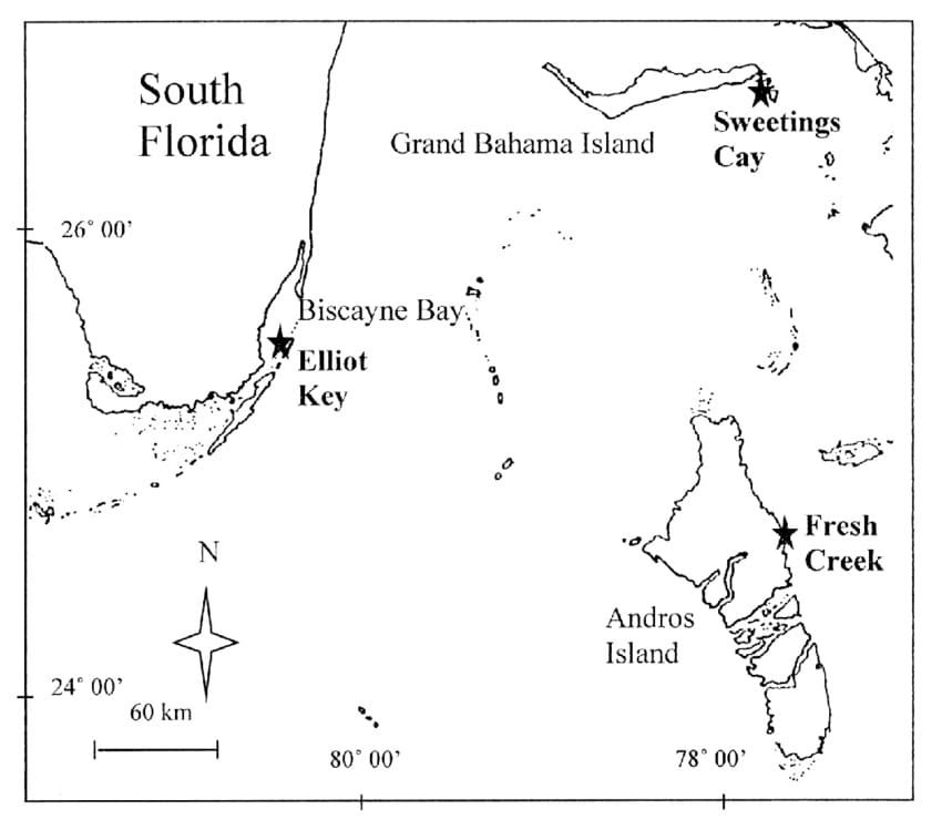 Printable Bahamas Island Map Free Download And Print For You 