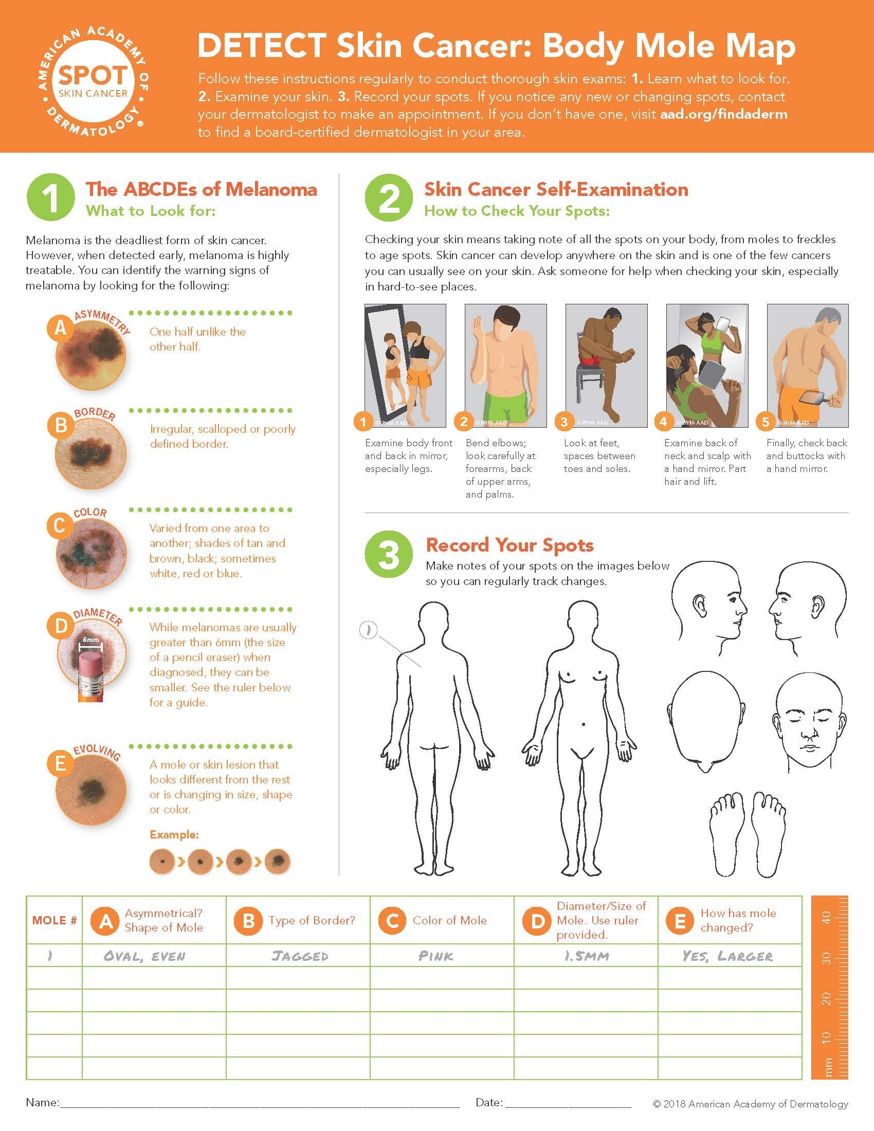 Printable Dermatology Body Map