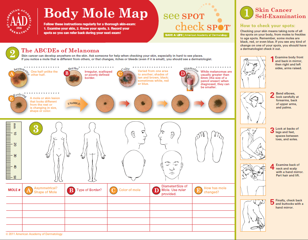 Printable Dermatology Body Map