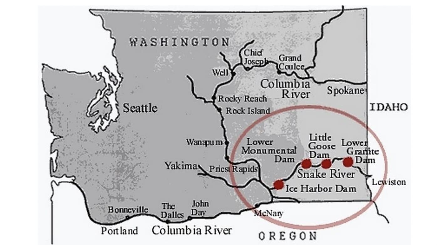 Printable Map Of Washington DC Free Download And Print For You 