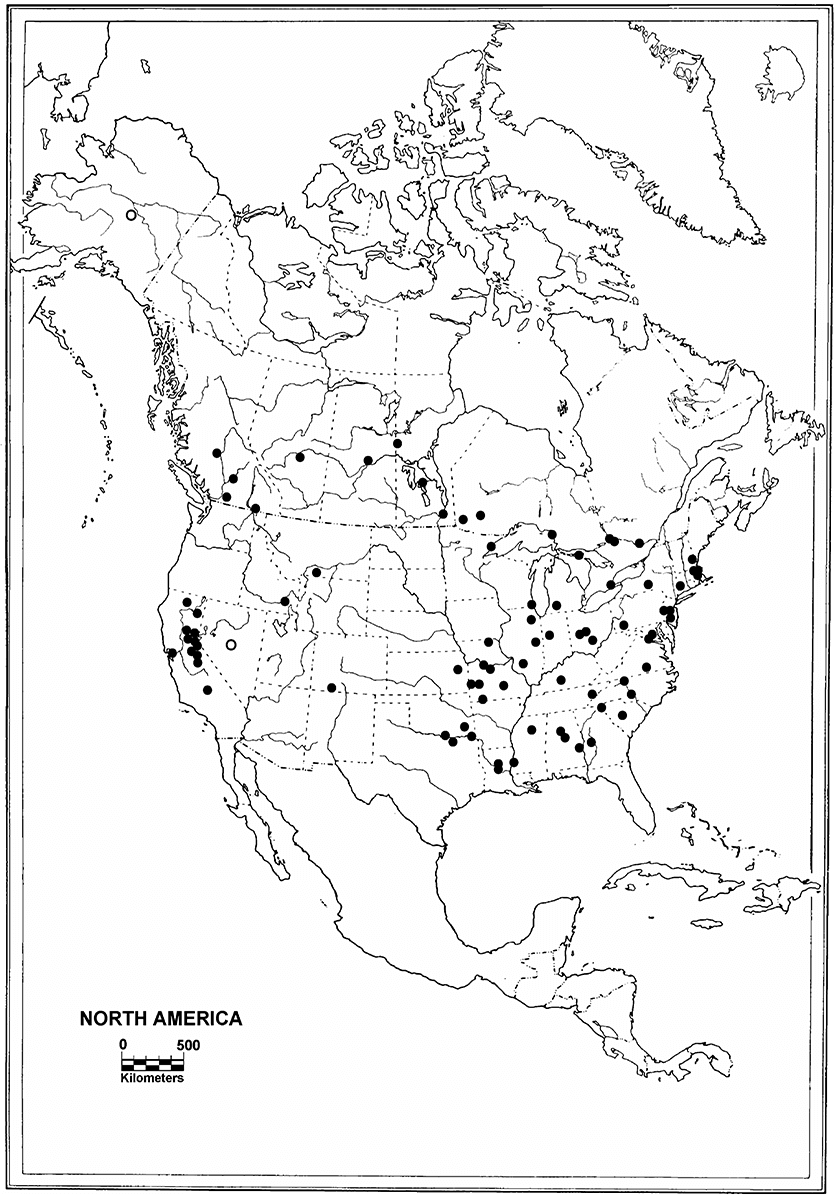 Printable North America Map Base Free Download And Print For You 