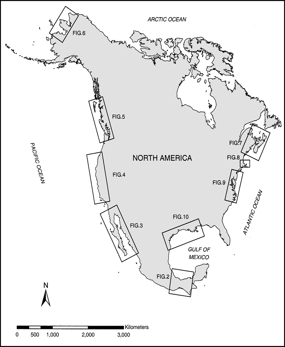 Printable North America Map Blank 5 Free Download And Print For You 