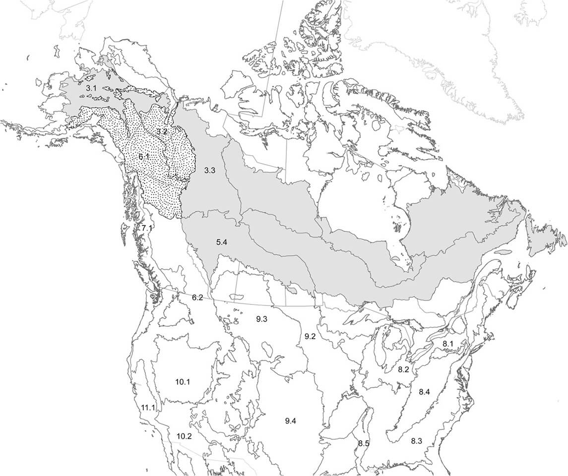 Printable North America Map Migration Route Free Download And Print 