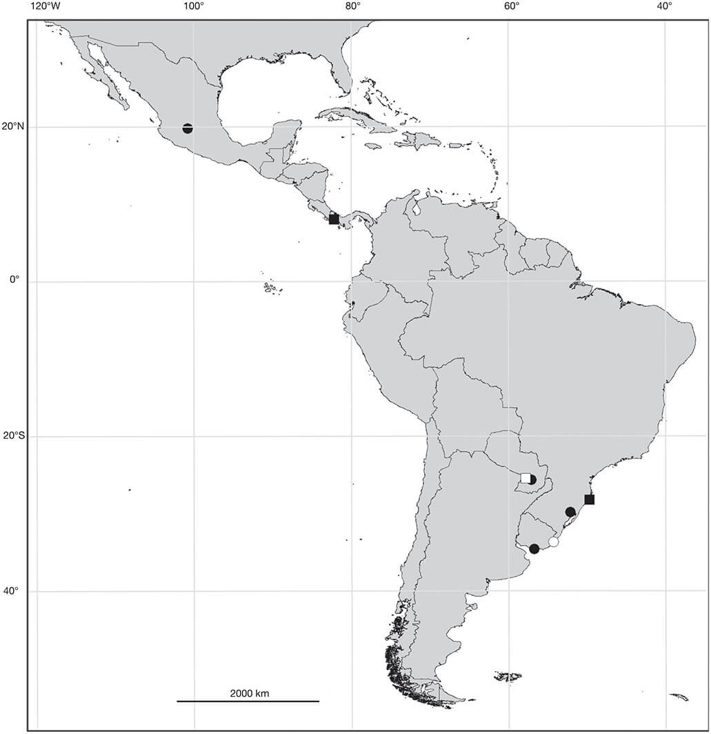 Printable South America Map PrintableLib